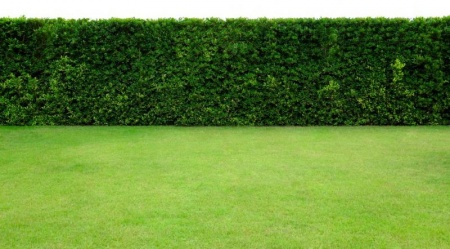 Cr&eacute;ation de jardin &agrave; Ergersheim adapt&eacute; &agrave; votre terrain